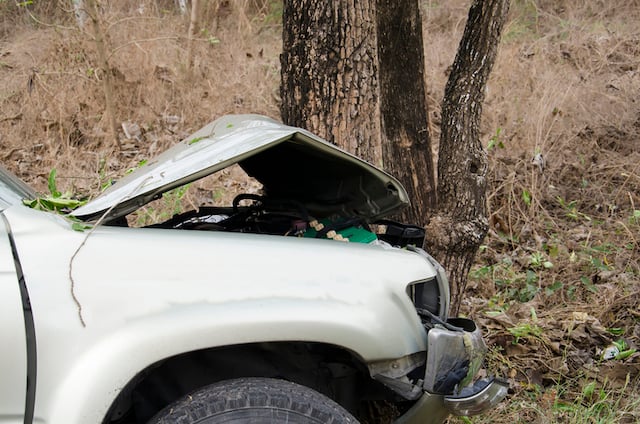 Voiture encastr&eacute;e dans un arbre 