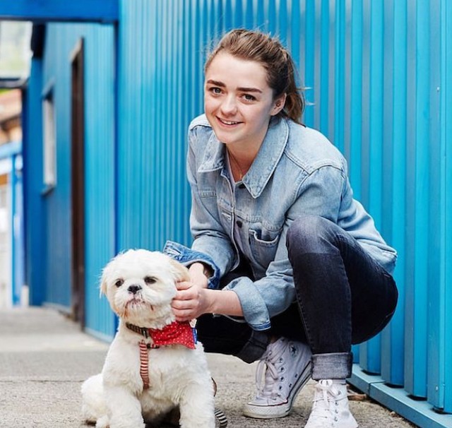 Maisie Williams et un chien de refuge