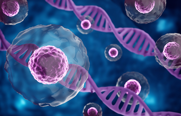 Des cellules souches