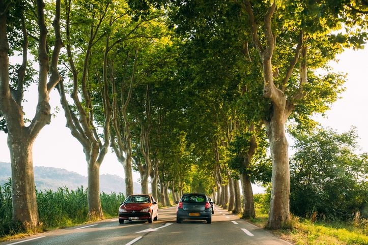 Des voitures sur une route de campagne