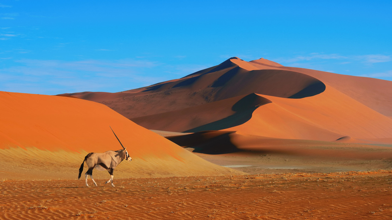 Le d&eacute;sert de Sossuvlei