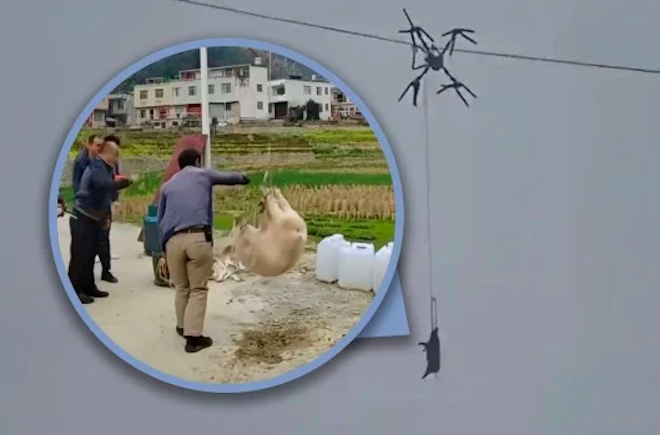 Un drone transporte un cochon et provoque une panne d'&eacute;lectricit&eacute;