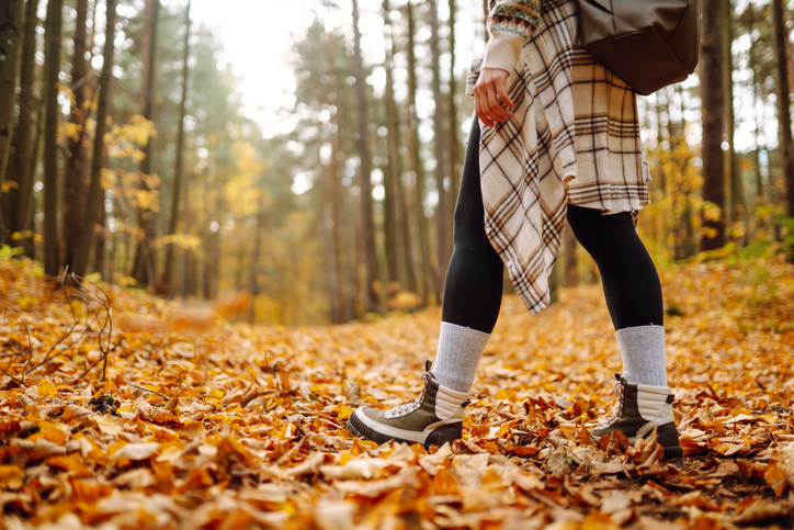 Une personne marche en for&ecirc;t