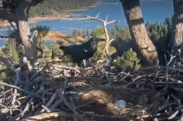 Capture d&rsquo;&eacute;cran YouTube 