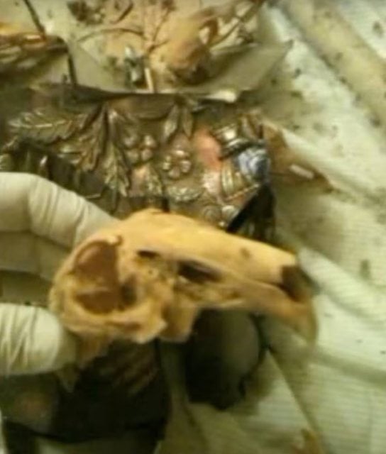 Capture d'&eacute;cran