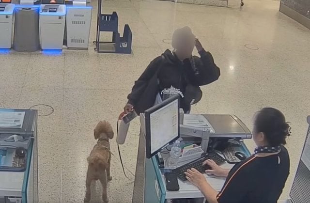 Capture d'&eacute;cran 