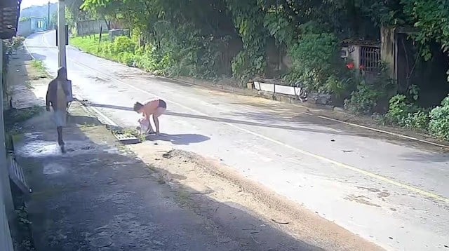 Image vid&eacute;osurveillance 