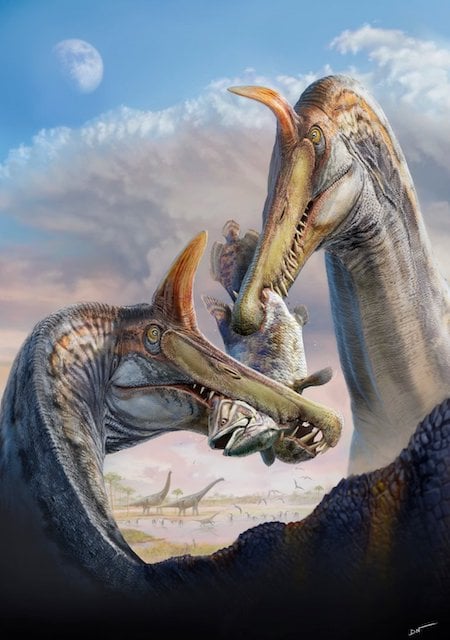 Spinosaurus mirabilis