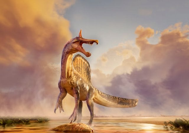 Spinosaurus mirabilis