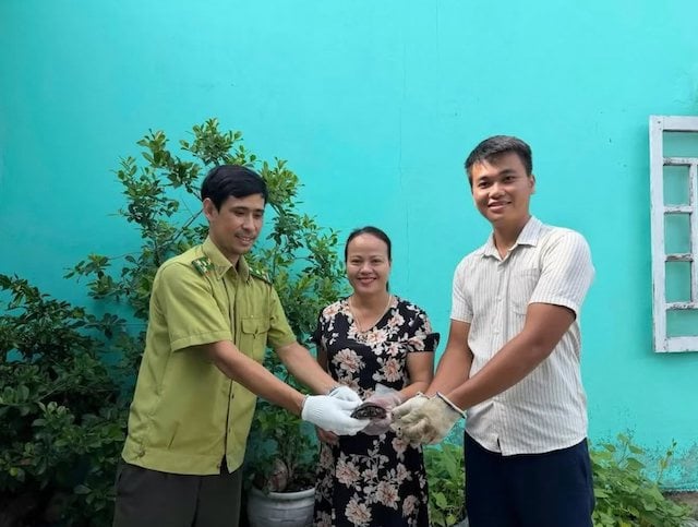 Phan Thi Hong Van et deux agents de protection en train de tenir la tortue &agrave; quatre yeux