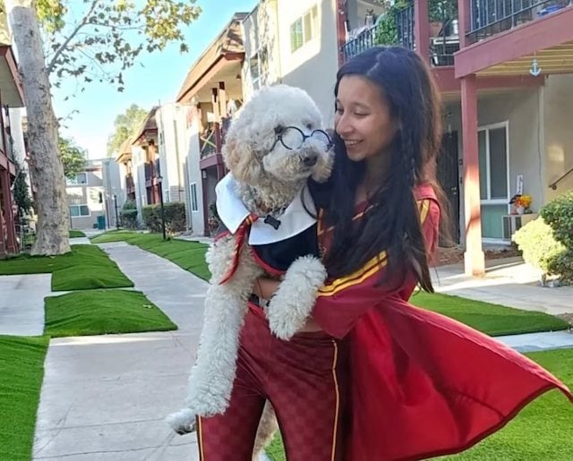 La victime, Siddhi Morabia, et son chien 