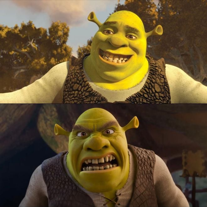 Shrek avant et apr&egrave;s