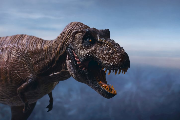 Un Tyrannosaurus rex