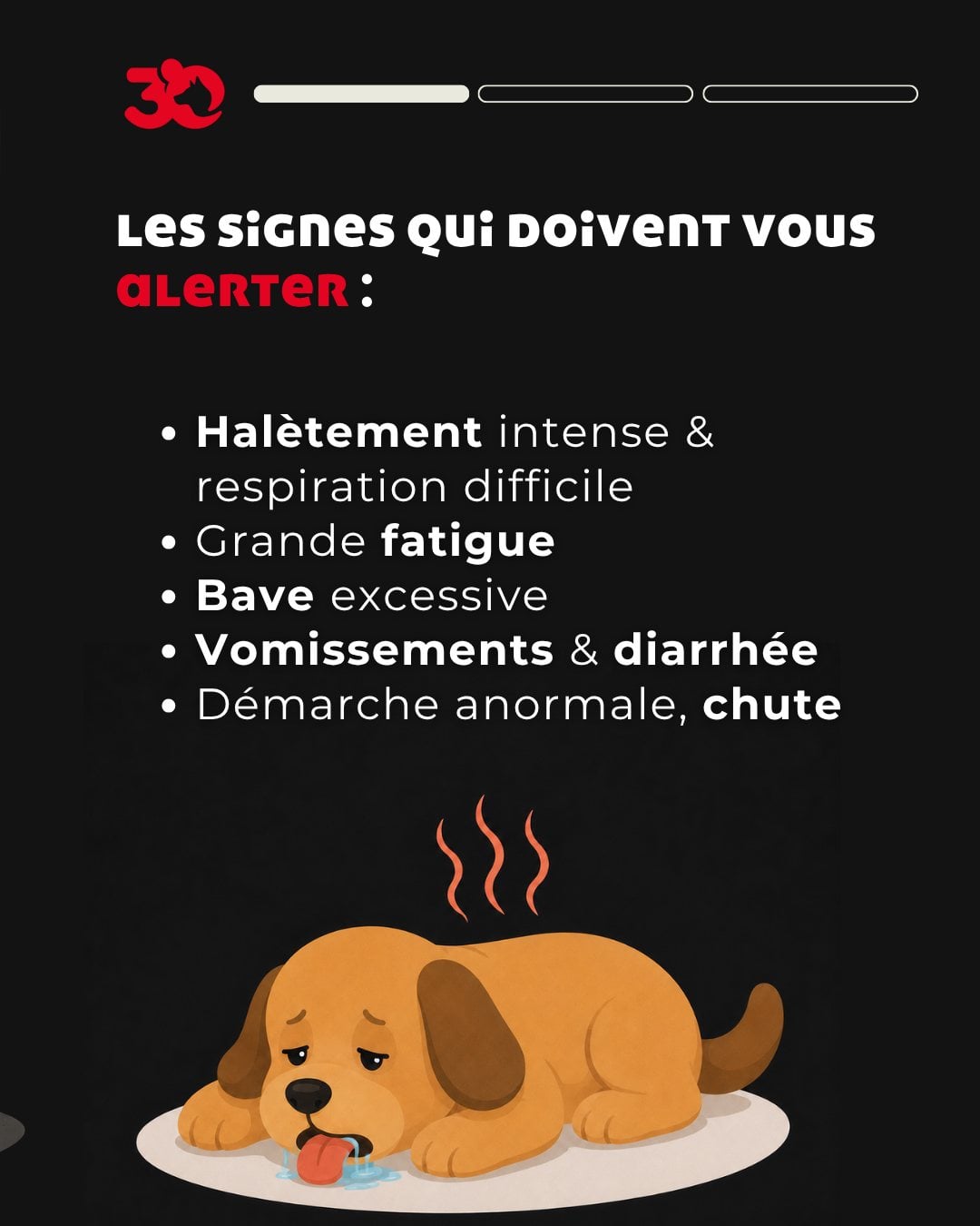 Les signes d'un coup de chaleur chez le chien