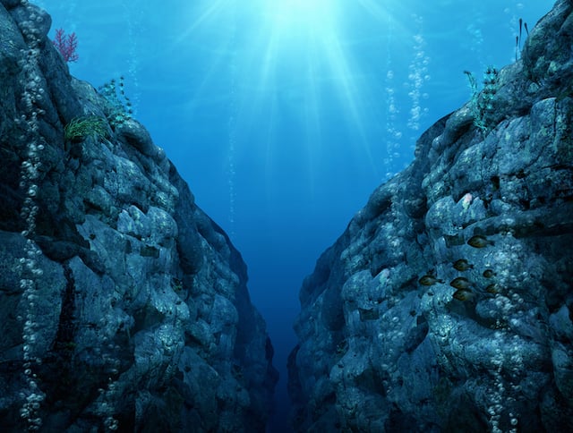 Fonds marins