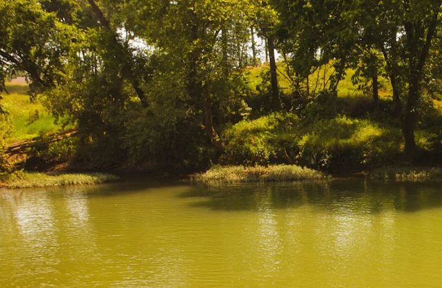Le ruisseau du parc Phil Moore, &agrave; Alvaton
