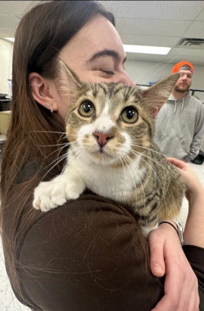 Toby, le chat n&eacute; avec une particularit&eacute; extraordinaire et sa ma&icirc;tresse