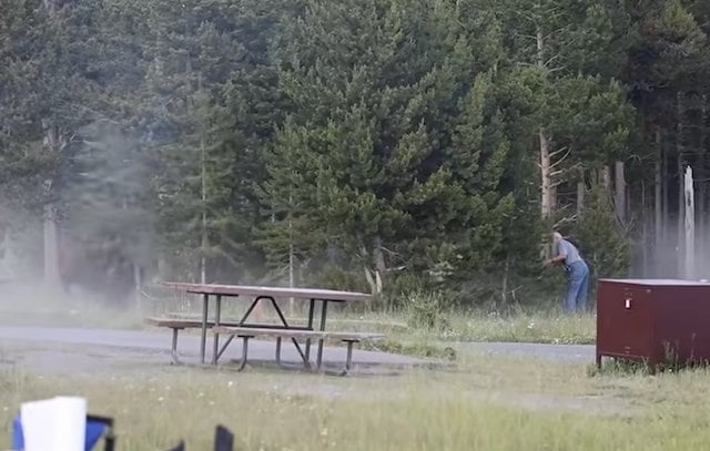 Le promeneur en train de fuir le bison