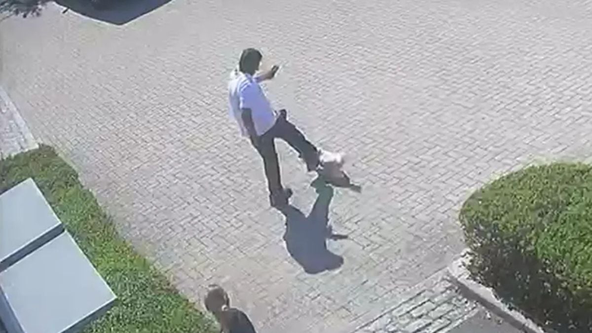 Un facteur tuant un chien &agrave; coup de pied, le 11 juillet 2026, en Angleterre