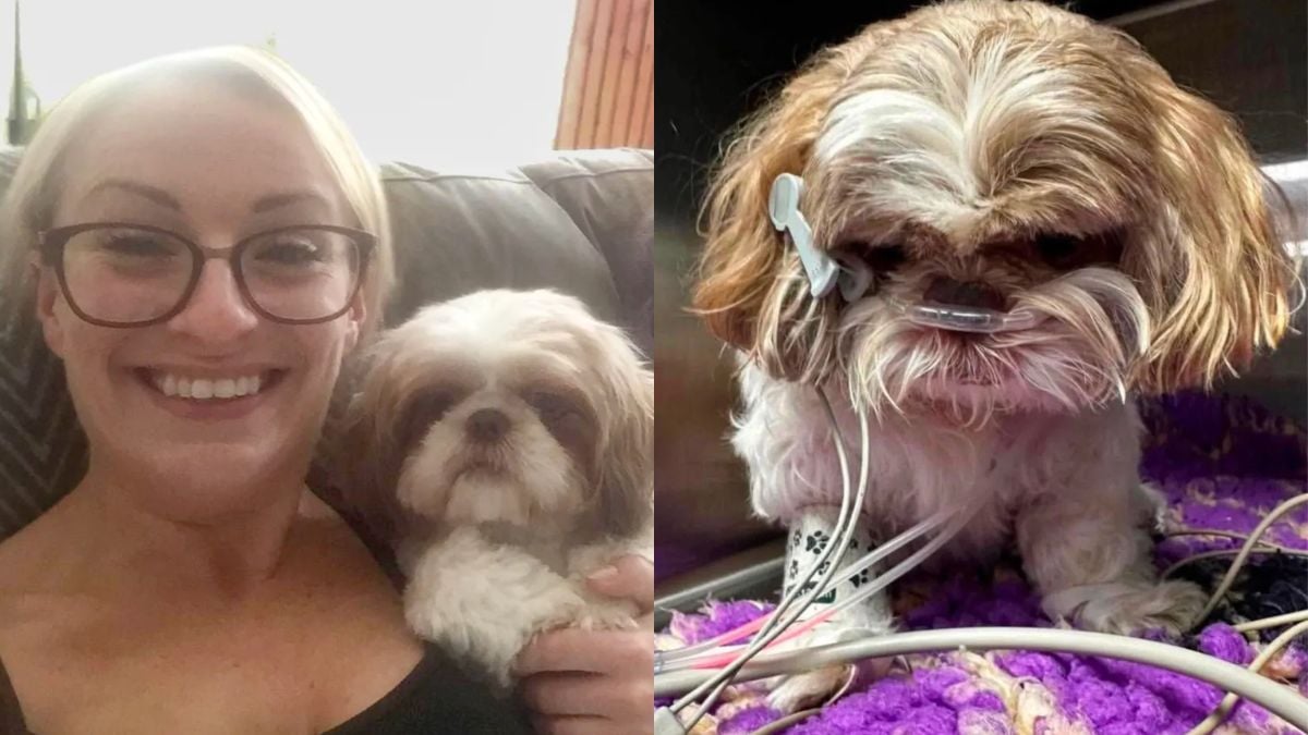 Eve Lewis et sa chienne Ethel, d&eacute;c&eacute;d&eacute;e