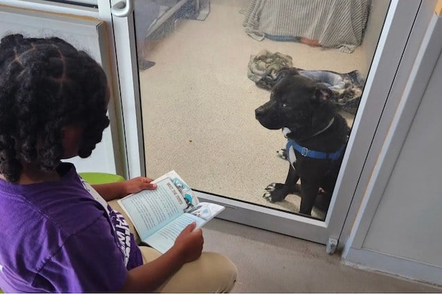Nehemiah Turner en train de faire la lecture &agrave; un chien du refuge 