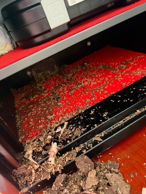 Les billets grignot&eacute;s par les termites 