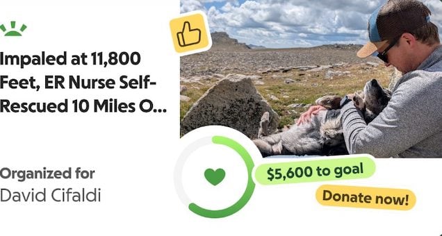 Capture d'&eacute;cran GoFundMe