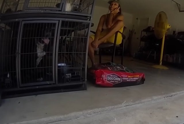 La propri&eacute;taire des animaux dans le garage 