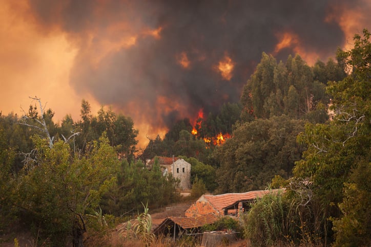 Un feu de for&ecirc;t