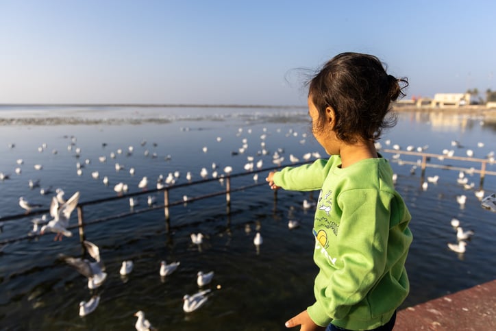 Un enfant regarde des oiseaux