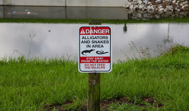 Panneau indiquant la pr&eacute;sence d'alligators et de serpents