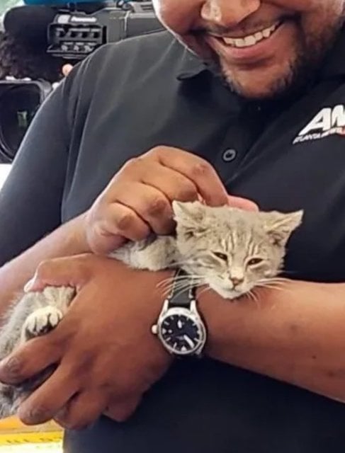 Un homme tenant le chaton dans ses bras