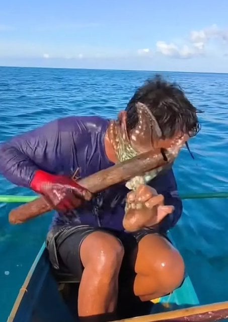 Le p&ecirc;cheur tentant de se d&eacute;barrasser du poulpe  