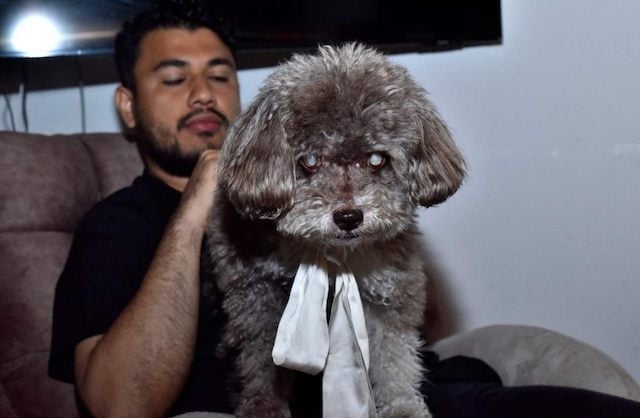 Michael Ruiz et le chien Salomon 