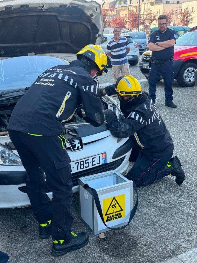 Les pompiers sur place