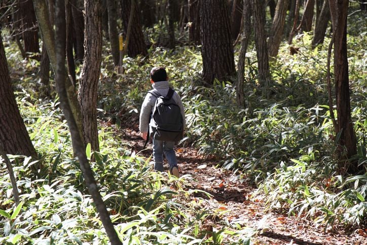 Un enfant seul dans les bois