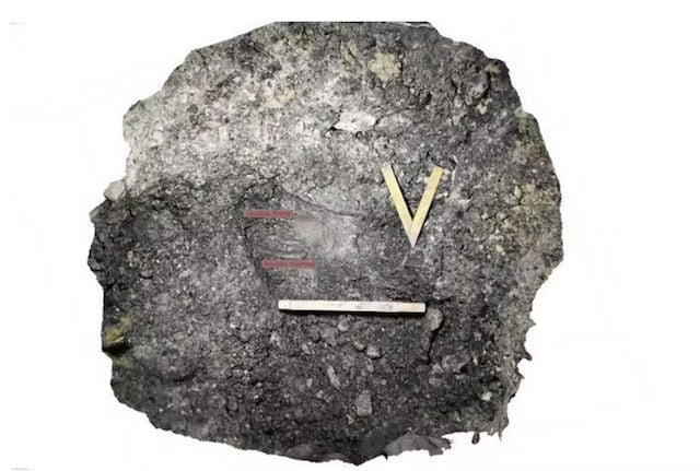 Le cr&acirc;ne avant son exhumation, ainsi qu'une c&ocirc;te de la m&egrave;re.