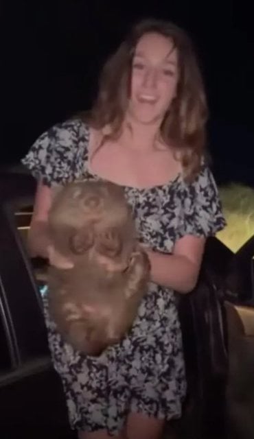 L'influenceuse en train d'arracher le b&eacute;b&eacute; wombat &agrave; sa m&egrave;re
