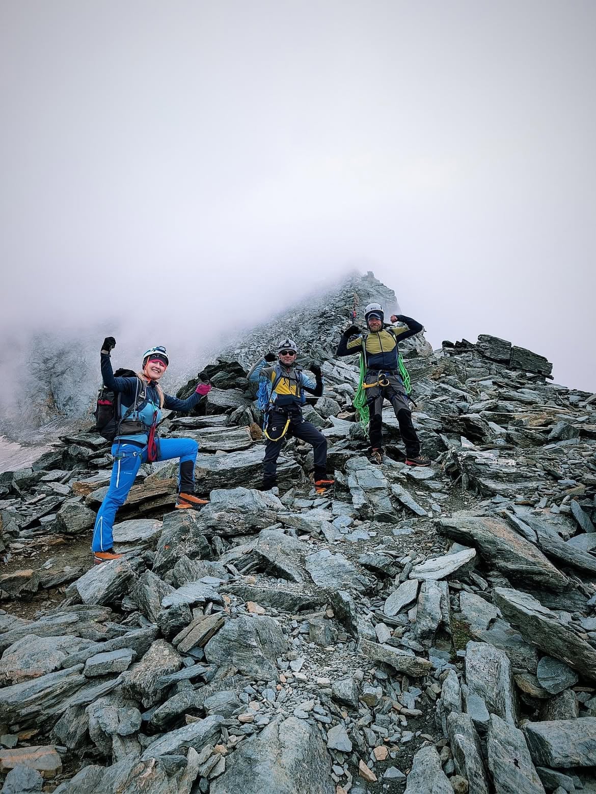 Les alpinistes