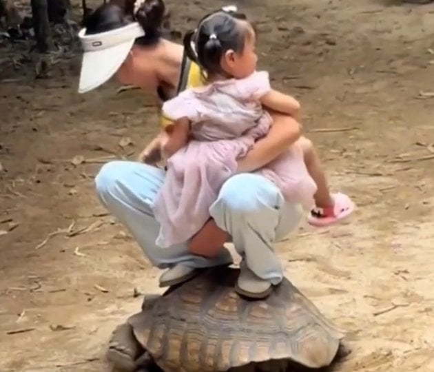Capture d'image montrant la m&egrave;re et sa fille en train de s'accroupir sur la tortue 
