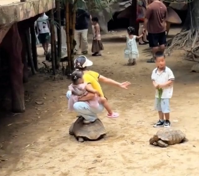 Capture d'image montrant la m&egrave;re et sa fille en train de s'accroupir sur la tortue 