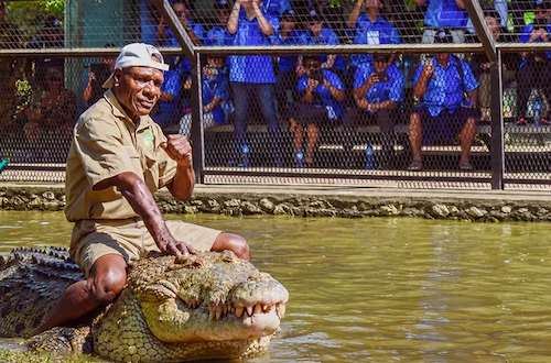 Un soigneur avec un crocodile