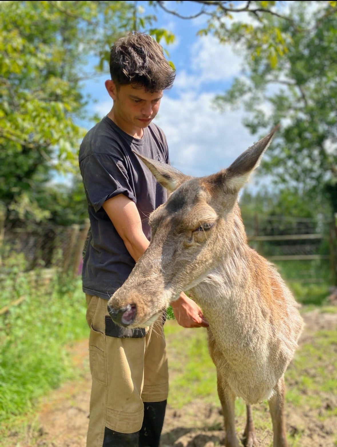 Un membre du sanctuaire et un &acirc;ne