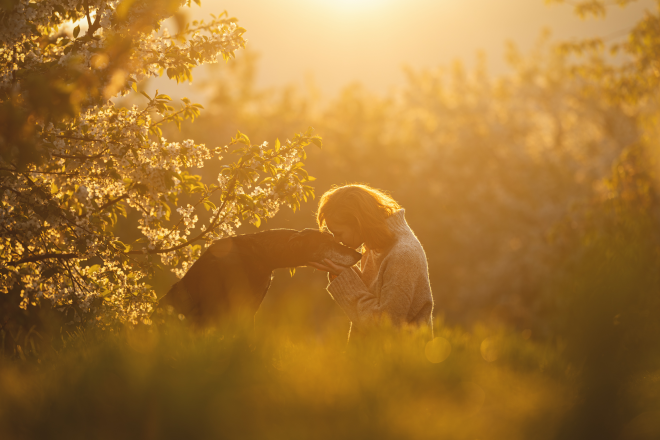 Un chien et une femme au coucher du soleil