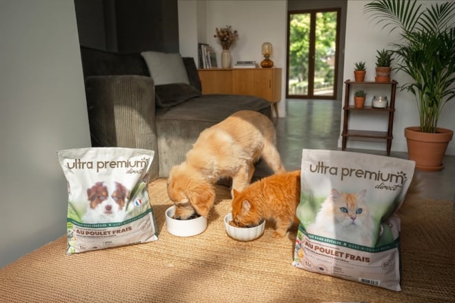 un chien et un chat mangent des croquettes Ultra premium direct