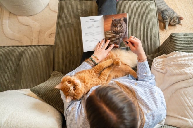un chat dans les bras de sa ma&icirc;tresse