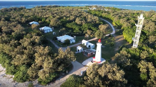 La v&eacute;g&eacute;tation de retour sur l'&icirc;le