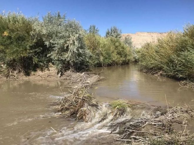 Un barrage de castors dans une rivi&egrave;re de l'Utah
