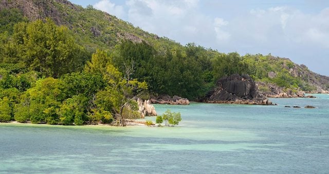 L'&icirc;le Moyenne aux Seychelles 