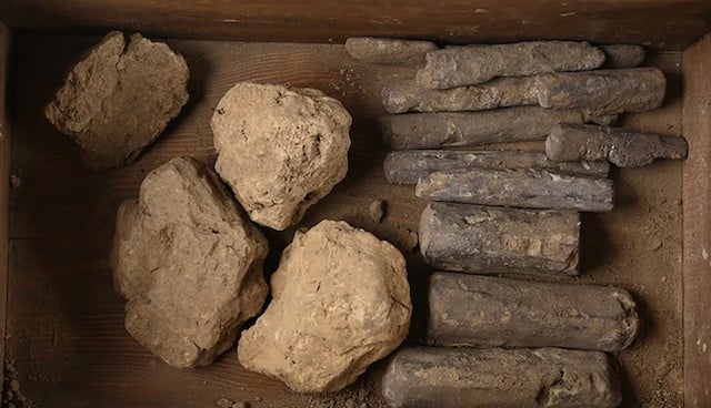 Des objets suppl&eacute;mentaires ont &eacute;t&eacute; mis au jour lors d'une fouille compl&eacute;mentaire men&eacute;e par l'Office des monuments historiques de Basse-Saxe